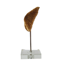 Load image into Gallery viewer, Gold Sea Life Round Coral Finial on Lucite Base
