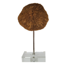 Load image into Gallery viewer, Gold Sea Life Round Coral Finial on Lucite Base
